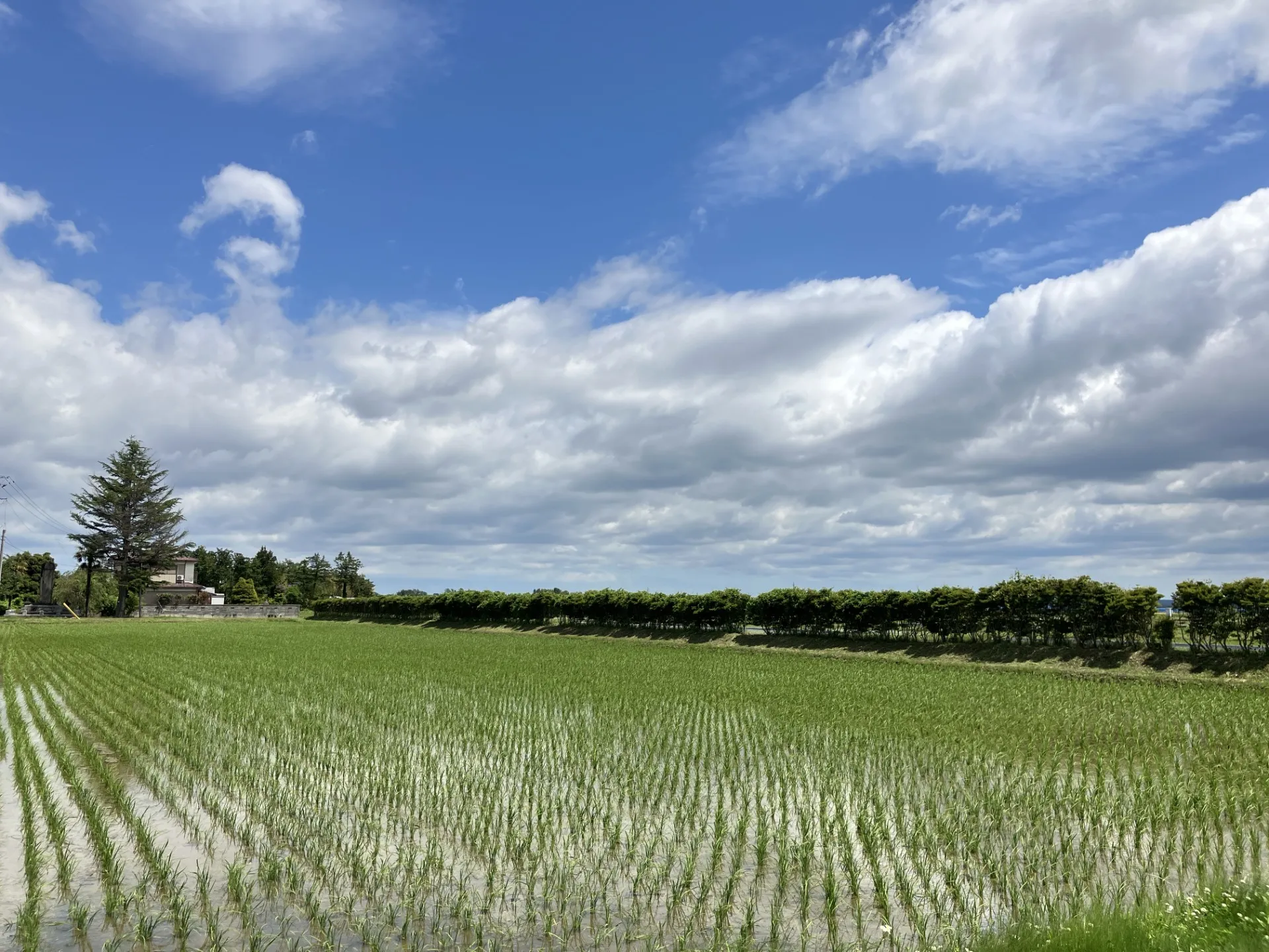 夏季の事業所休業のおしらせ